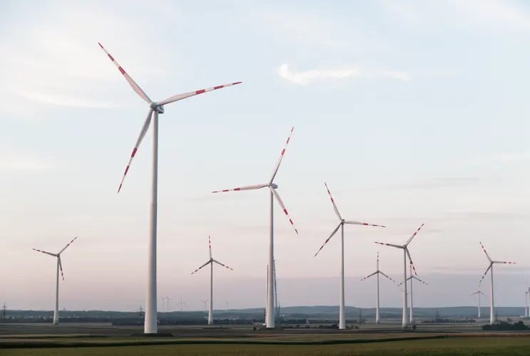 Rose-bläuliche Dämmerungsstimmung im Windpark.